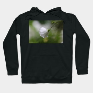 ...enjoy when you can... Hoodie